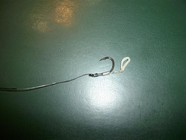 montura pentru boilies solubil - gedc0250.JPG